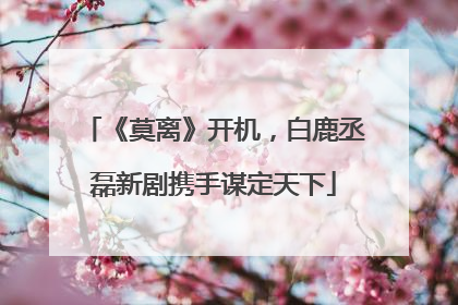 《莫离》开机，白鹿丞磊新剧携手谋定天下