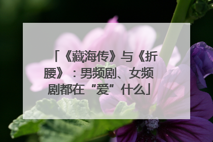 《藏海传》与《折腰》：男频剧、女频剧都在“爱”什么