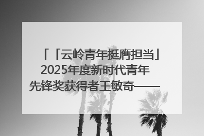 「云岭青年挺膺担当」2025年度新时代青年先锋奖获得者王敏奇——澜沧江上好渔人