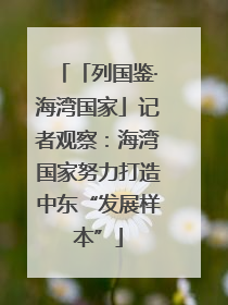 「列国鉴·海湾国家」记者观察：海湾国家努力打造中东“发展样本”