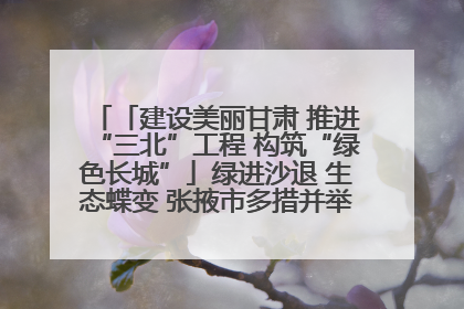 「建设美丽甘肃 推进“三北”工程 构筑“绿色长城”」绿进沙退 生态蝶变 张掖市多措并举加大防沙治沙力度