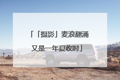 「摄影」麦浪翻涌 又是一年夏收时