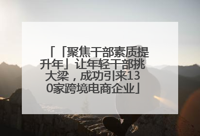 「聚焦干部素质提升年」让年轻干部挑大梁，成功引来130家跨境电商企业