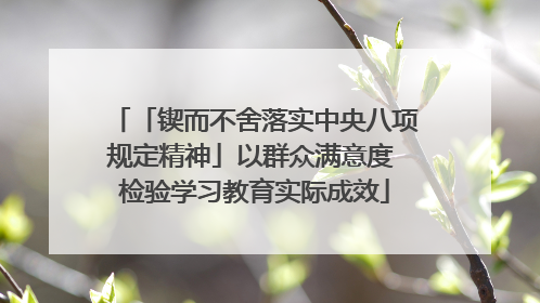 「锲而不舍落实中央八项规定精神」以群众满意度 检验学习教育实际成效