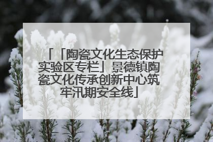 「陶瓷文化生态保护实验区专栏」景德镇陶瓷文化传承创新中心筑牢汛期安全线