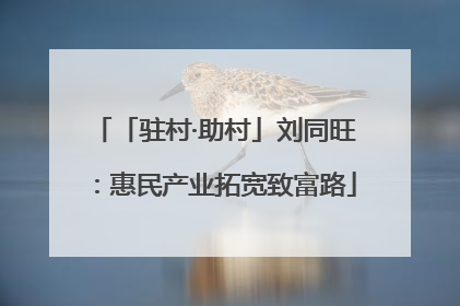 「驻村·助村」刘同旺：惠民产业拓宽致富路