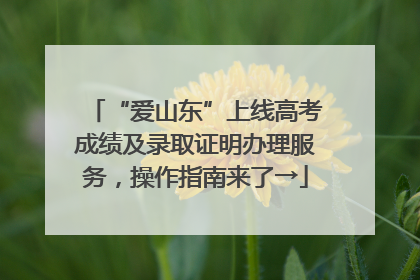 “爱山东”上线高考成绩及录取证明办理服务，操作指南来了→