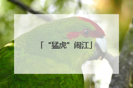 “猛虎”闹江