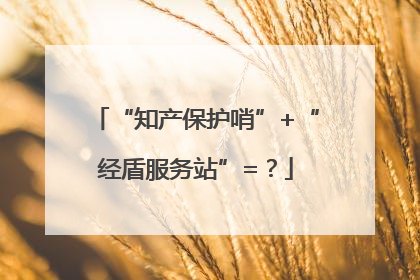 “知产保护哨”+“经盾服务站”=？