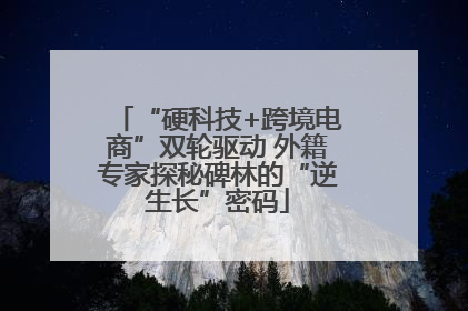 “硬科技+跨境电商”双轮驱动 外籍专家探秘碑林的“逆生长”密码