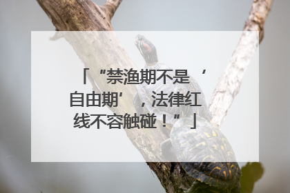 “禁渔期不是‘自由期’，法律红线不容触碰！”