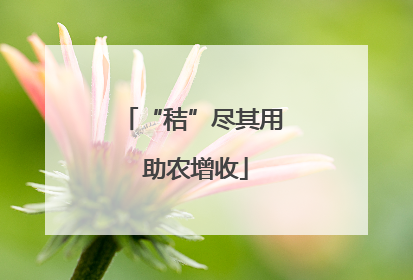“秸”尽其用 助农增收