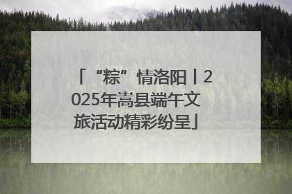 “粽”情洛阳丨2025年嵩县端午文旅活动精彩纷呈