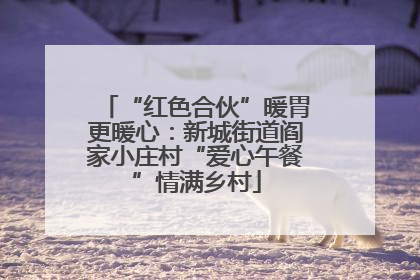 “红色合伙”暖胃更暖心：新城街道阎家小庄村“爱心午餐”情满乡村