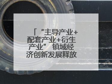“主导产业+配套产业+衍生产业” 镇域经济创新发展释放强劲发展动能