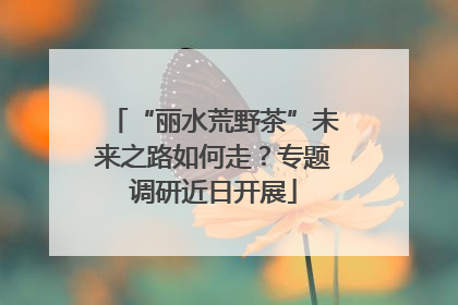 “丽水荒野茶”未来之路如何走？专题调研近日开展