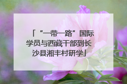 “一带一路”国际学员与西藏干部到长沙县湘丰村研学