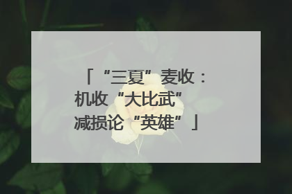 “三夏”麦收：机收“大比武” 减损论“英雄”