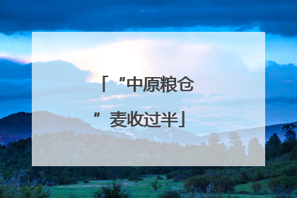 “中原粮仓”麦收过半