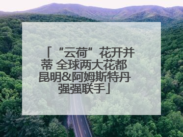 “云荷”花开并蒂 全球两大花都昆明&阿姆斯特丹强强联手