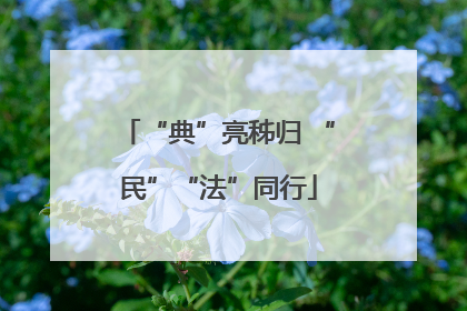 “典”亮秭归 “民”“法”同行