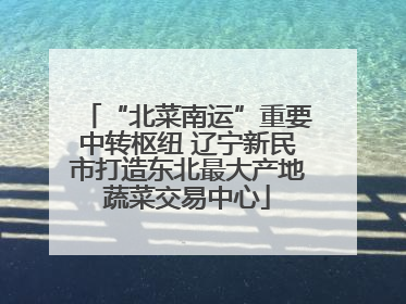“北菜南运”重要中转枢纽 辽宁新民市打造东北最大产地蔬菜交易中心