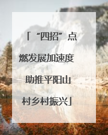 “四招”点燃发展加速度 助推平阳山村乡村振兴