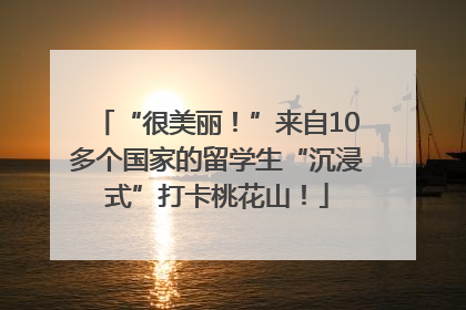 “很美丽！”来自10多个国家的留学生“沉浸式”打卡桃花山！
