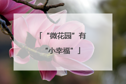 “微花园”有“小幸福”