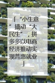 “小生意”撬动“大民生”，拼多多以电商经济推动实现普惠就业