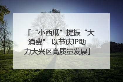 “小西瓜”提振“大消费” 以节庆IP助力大兴区高质量发展