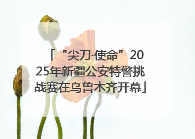 “尖刀·使命”2025年新疆公安特警挑战赛在乌鲁木齐开幕