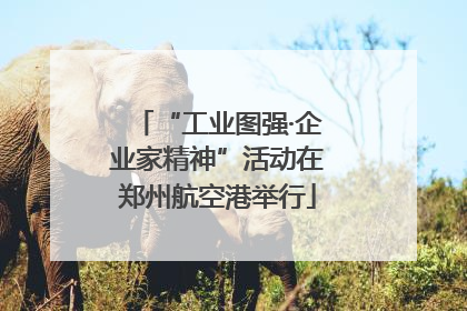 “工业图强·企业家精神”活动在郑州航空港举行