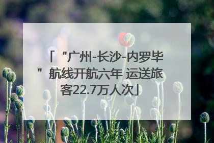 “广州-长沙-内罗毕”航线开航六年 运送旅客22.7万人次