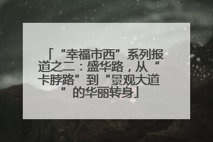 “幸福市西”系列报道之二：盛华路，从“卡脖路”到“景观大道”的华丽转身