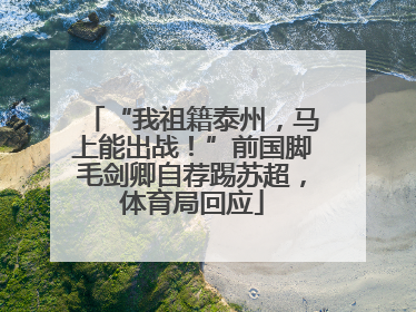 “我祖籍泰州，马上能出战！”前国脚毛剑卿自荐踢苏超，体育局回应