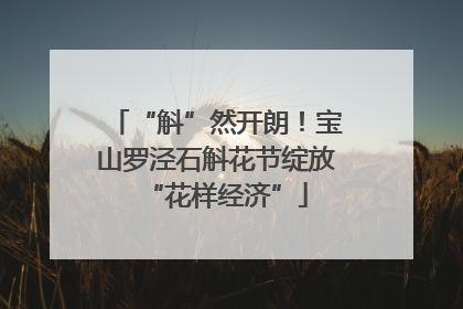 “斛”然开朗！宝山罗泾石斛花节绽放“花样经济”