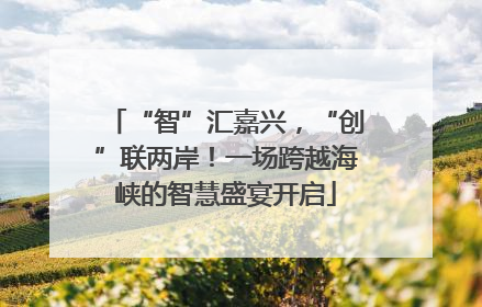 “智”汇嘉兴，“创”联两岸！一场跨越海峡的智慧盛宴开启