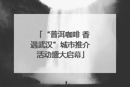 “普洱咖啡 香遇武汉”城市推介活动盛大启幕