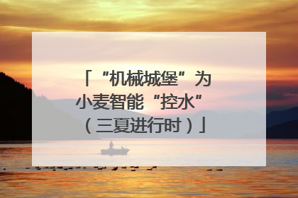 “机械城堡”为小麦智能“控水”（三夏进行时）