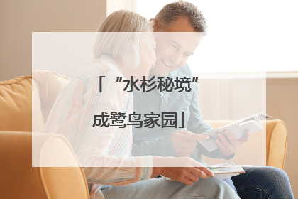 “水杉秘境”成鹭鸟家园