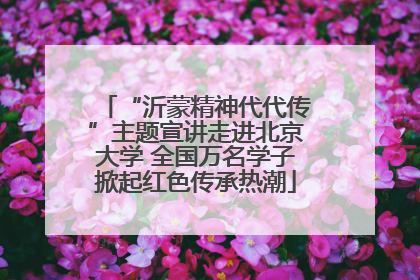 “沂蒙精神代代传”主题宣讲走进北京大学 全国万名学子掀起红色传承热潮