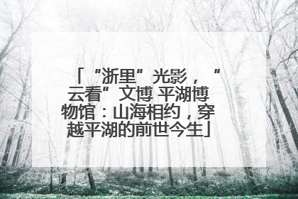 “浙里”光影，“云看”文博 平湖博物馆：山海相约，穿越平湖的前世今生