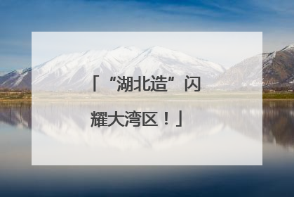 “湖北造”闪耀大湾区！