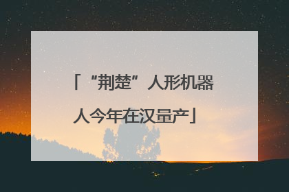 “荆楚”人形机器人今年在汉量产