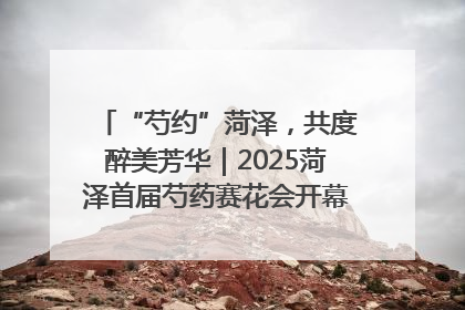 “芍约”菏泽，共度醉美芳华｜2025菏泽首届芍药赛花会开幕，103家企业参赛