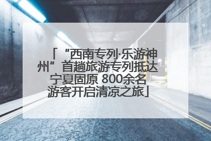 “西南专列·乐游神州”首趟旅游专列抵达宁夏固原 800余名游客开启清凉之旅