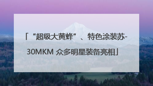 “超级大黄蜂”、特色涂装苏-30MKM 众多明星装备亮相