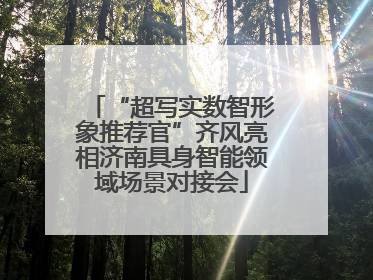 “超写实数智形象推荐官”齐风亮相济南具身智能领域场景对接会