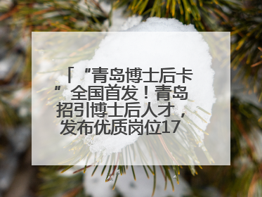 “青岛博士后卡”全国首发！青岛招引博士后人才，发布优质岗位1700余个